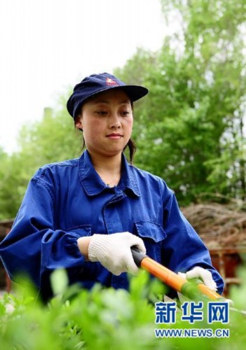 中鋁青海分公司16名女職工“離職掃地”的調(diào)查